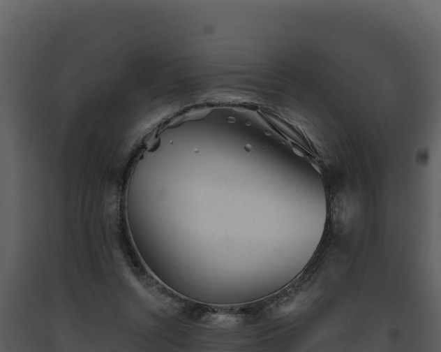 X0000093500352200710191253