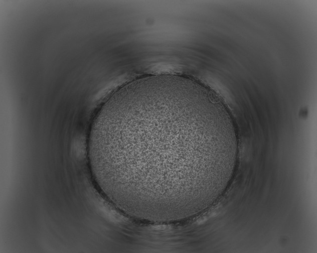 X0000093500353200710191253