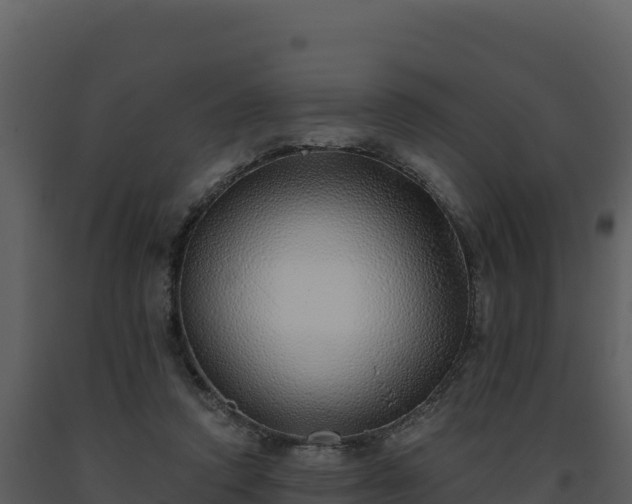 X0000093500354200710191253