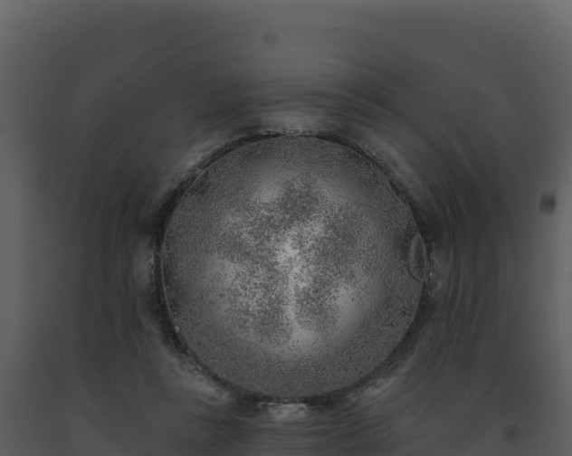 X0000093500355200710191253