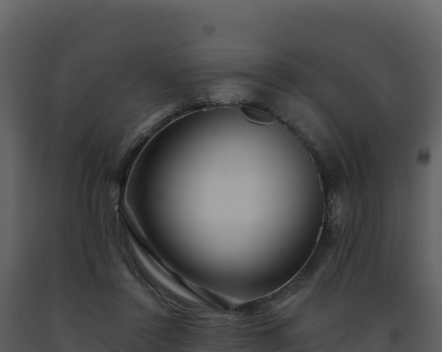 X0000093500356200710191253
