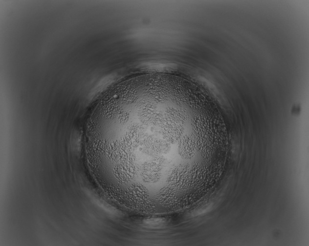 X0000093500357200710191254