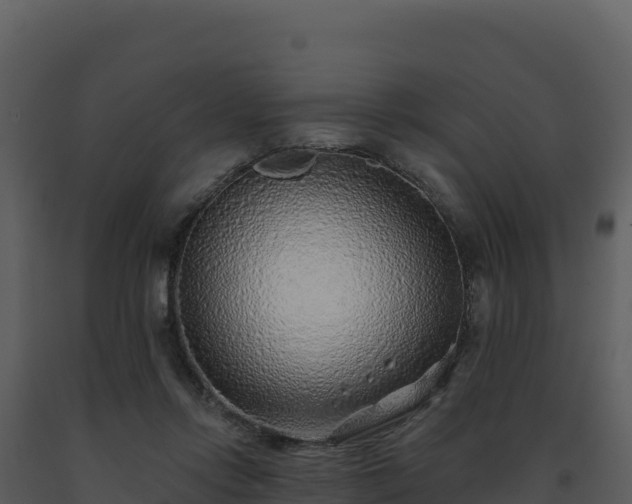 X0000093500358200710191254