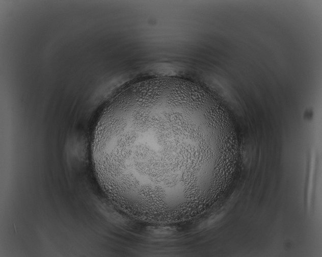 X0000093500359200710191254