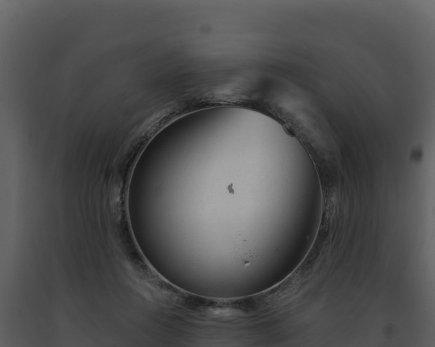 X0000093500360200710191254