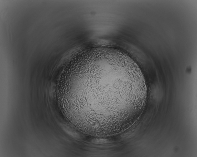 X0000093500361200710191254