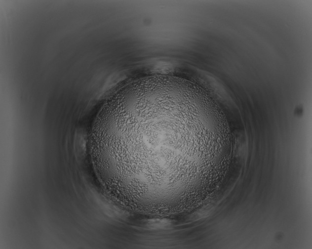 X0000093500363200710191254