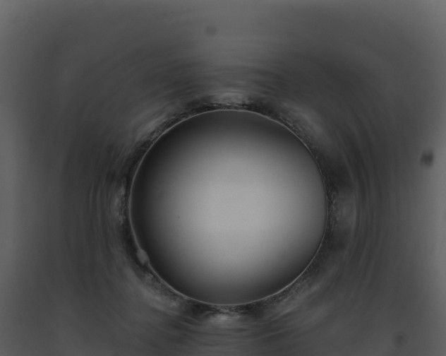 X0000093500364200710191254
