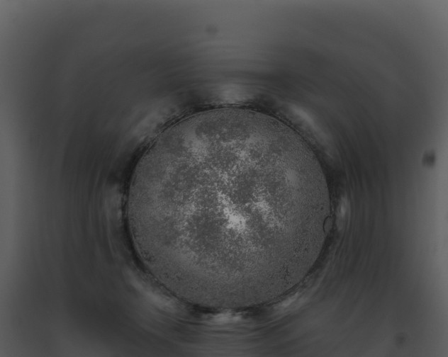 X0000093500366200710191254