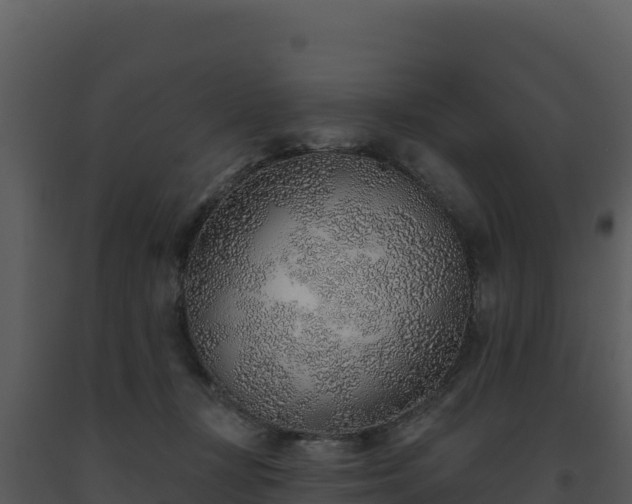 X0000093500367200710191254