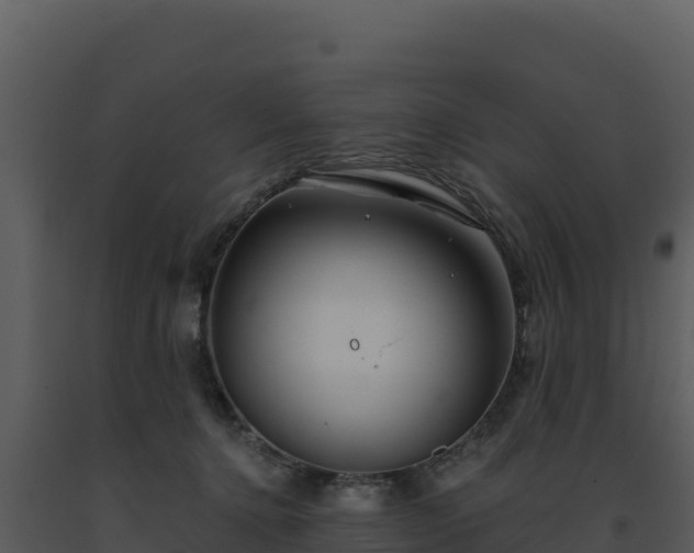 X0000093500368200710191254