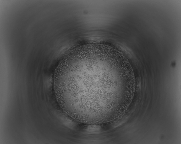 X0000093500369200710191254