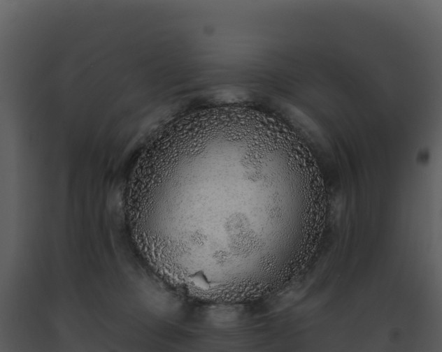 X0000093500373200710191254