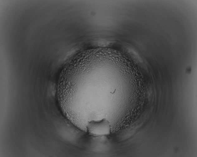 X0000093500374200710191254