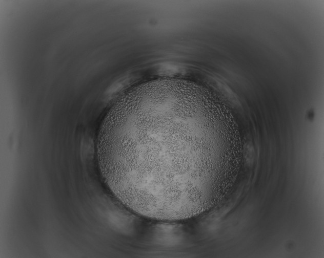 X0000093500375200710191254