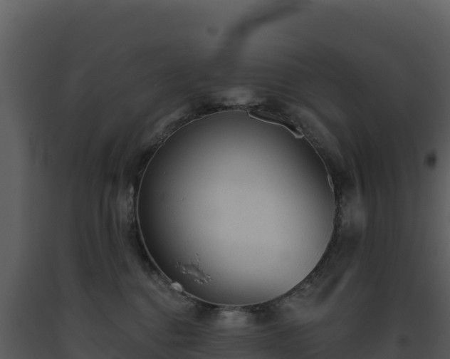 X0000093500376200710191254