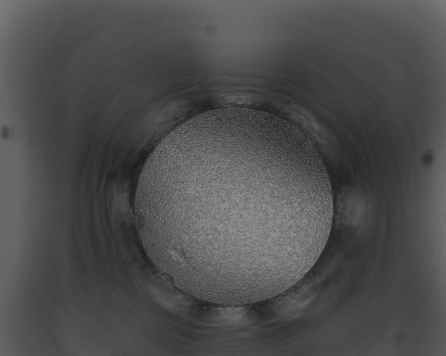X0000093500377200710191254