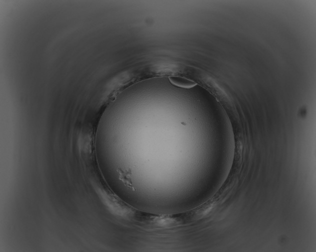 X0000093500379200710191254