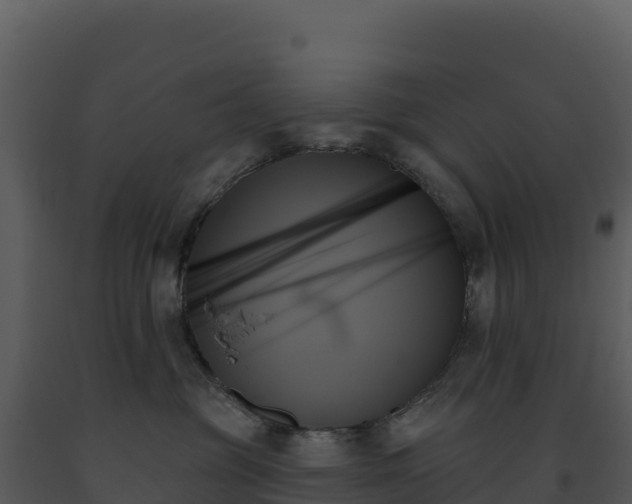 X0000093500381200710191254