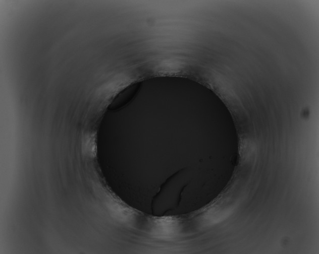X0000093500383200710191254