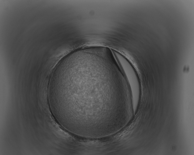 X0000093500385200710191253