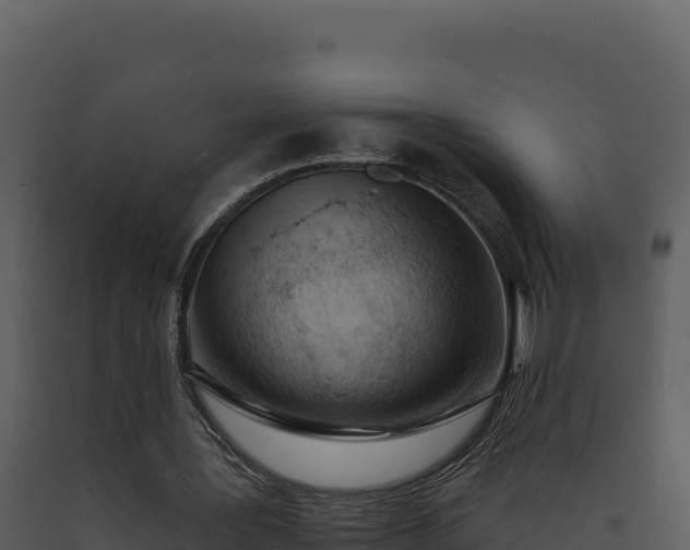 X0000093500387200710191253
