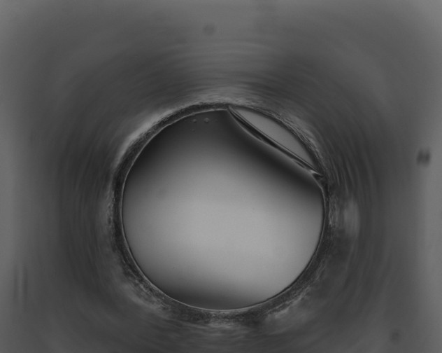 X0000093500388200710191253