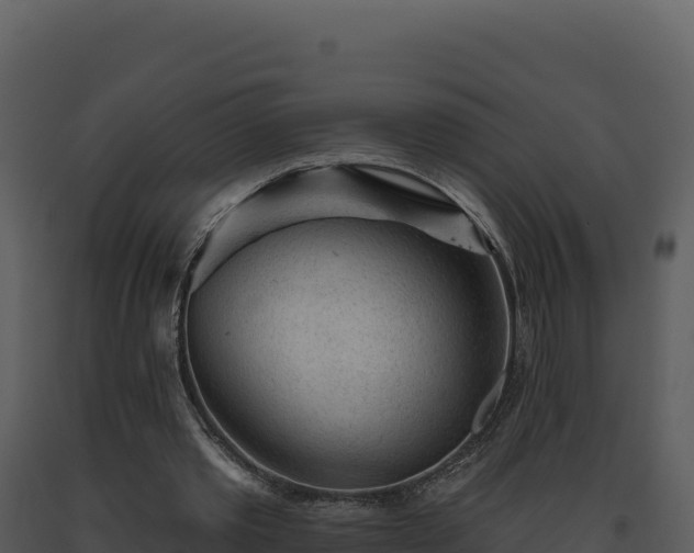 X0000093500389200710191253