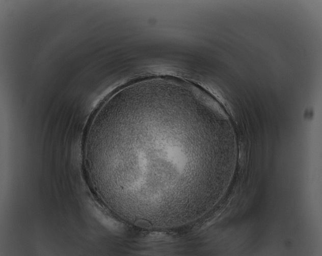 X0000093500390200710191253