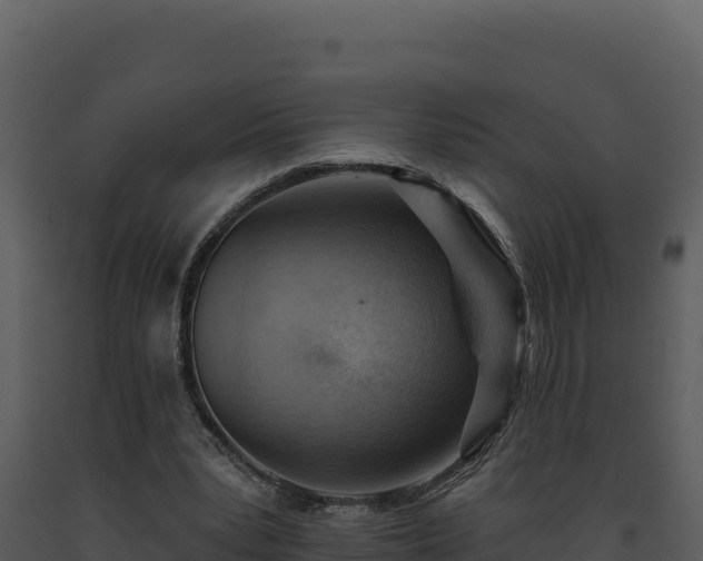 X0000093500391200710191253