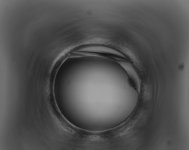 X0000093500392200710191253