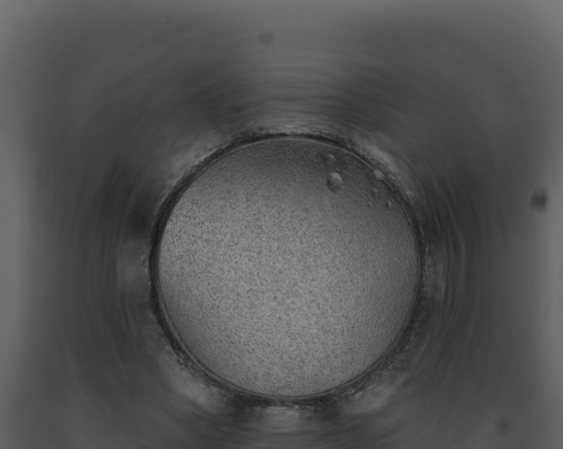 X0000093500394200710191253