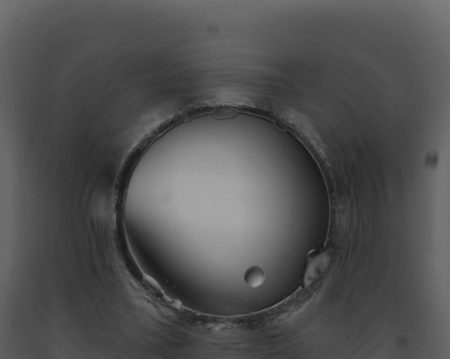 X0000093500395200710191253
