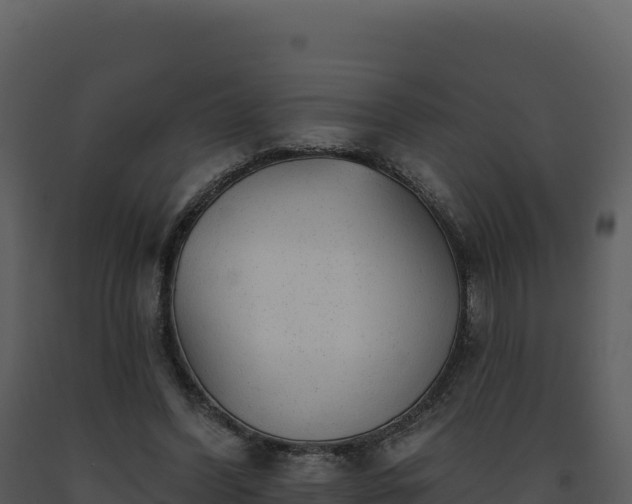 X0000093500396200710191253