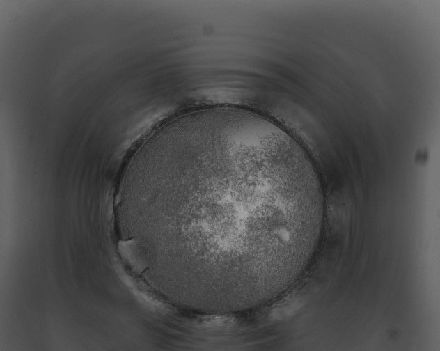 X0000093500398200710191253