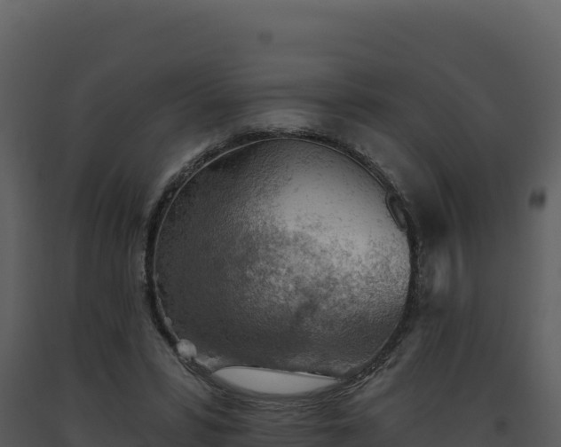 X0000093500399200710191253