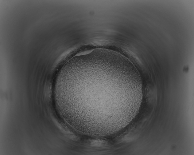 X0000093500400200710191253