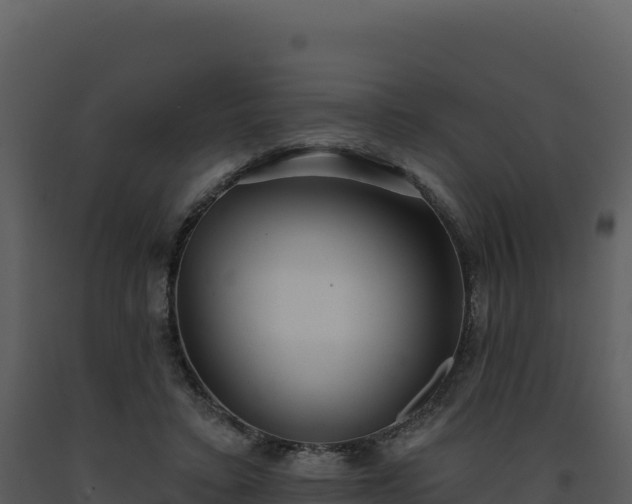 X0000093500403200710191253
