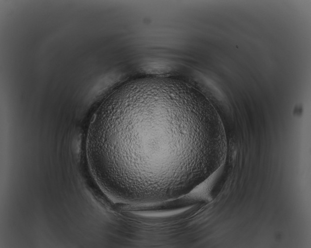 X0000093500404200710191253