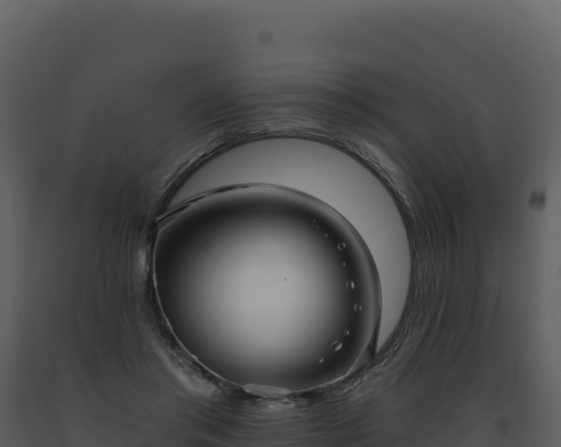 X0000093500405200710191253