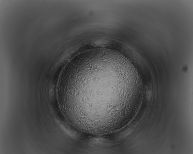 X0000093500408200710191253