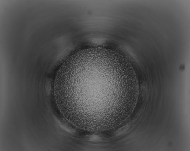 X0000093500412200710191253