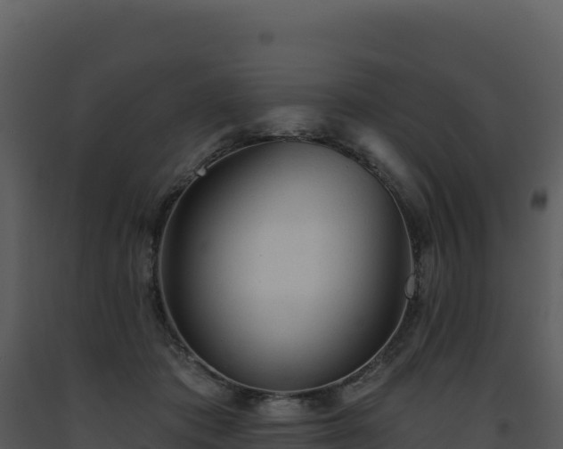 X0000093500413200710191253