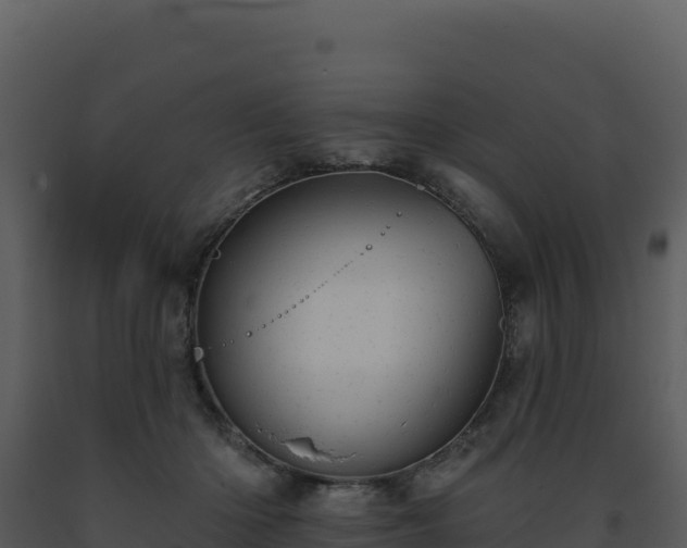 X0000093500414200710191253