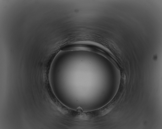 X0000093500416200710191253