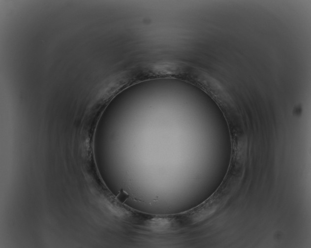 X0000093500418200710191253
