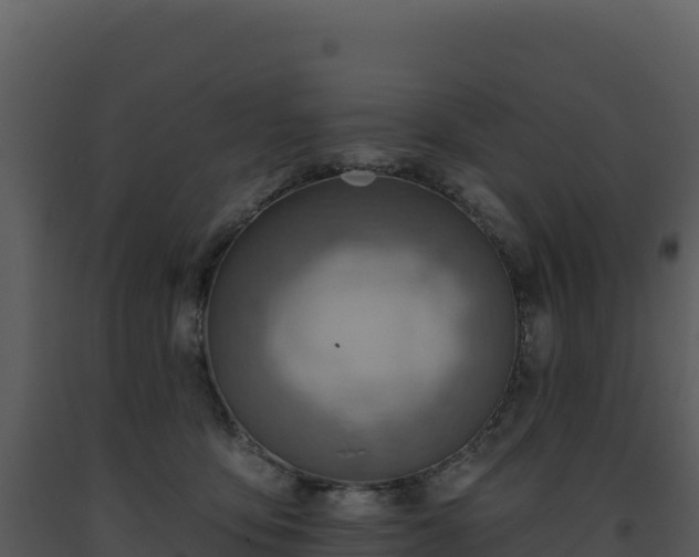 X0000093500419200710191253