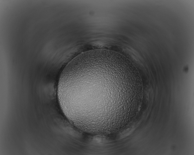 X0000093500420200710191253