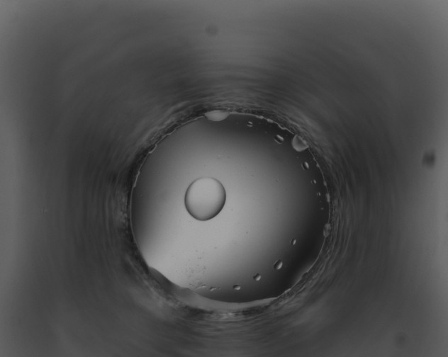 X0000093500421200710191253