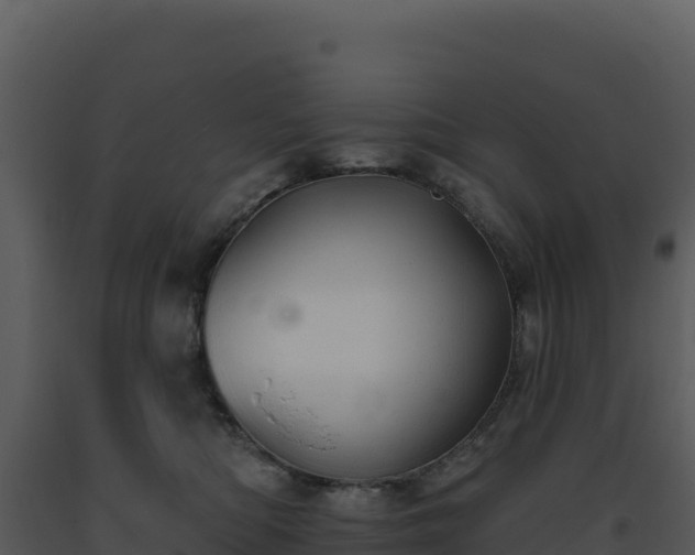 X0000093500422200710191253